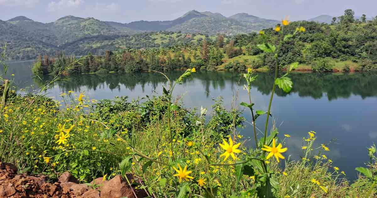 Premium 11 Guntha Lake View Bungalow Plots For Sale At Panshet